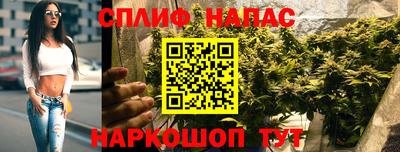 стаф Анжеро-Судженск